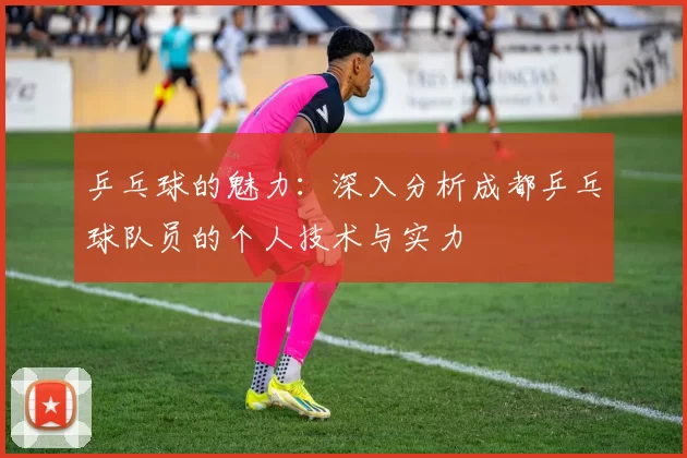 乒乓球的魅力：深入分析成都乒乓球队员的个人技术与实力