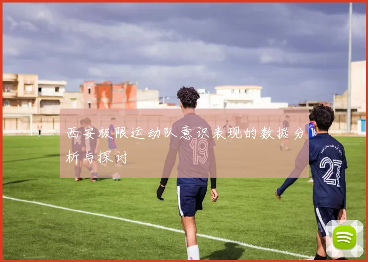 西安极限运动队意识表现的数据分析与探讨