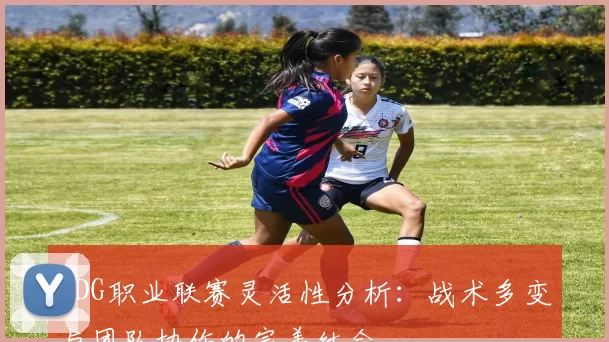 EDG职业联赛灵活性分析：战术多变与团队协作的完美结合