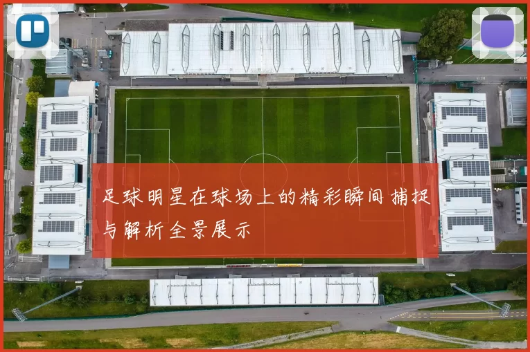 足球明星在球场上的精彩瞬间捕捉与解析全景展示