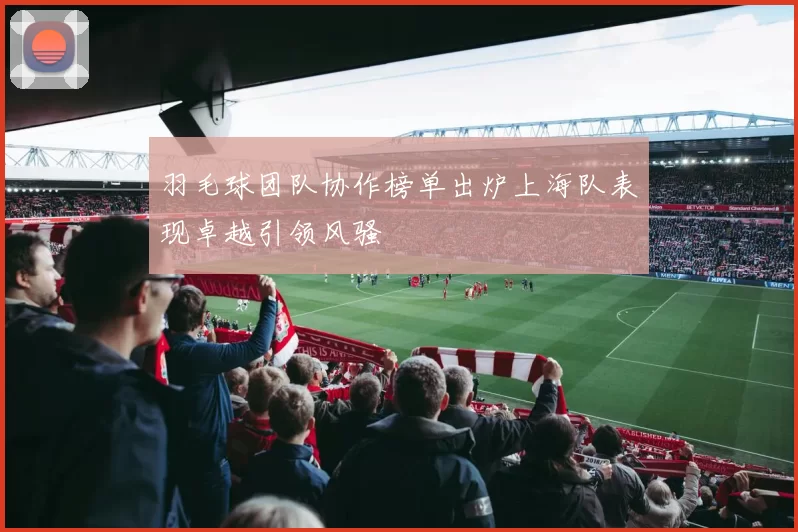 羽毛球团队协作榜单出炉上海队表现卓越引领风骚