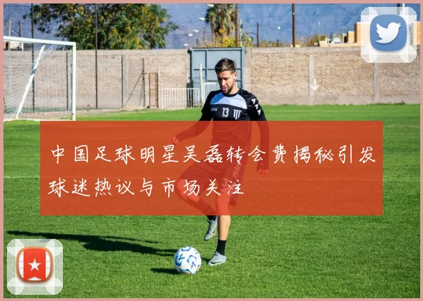 中国足球明星吴磊转会费揭秘引发球迷热议与市场关注