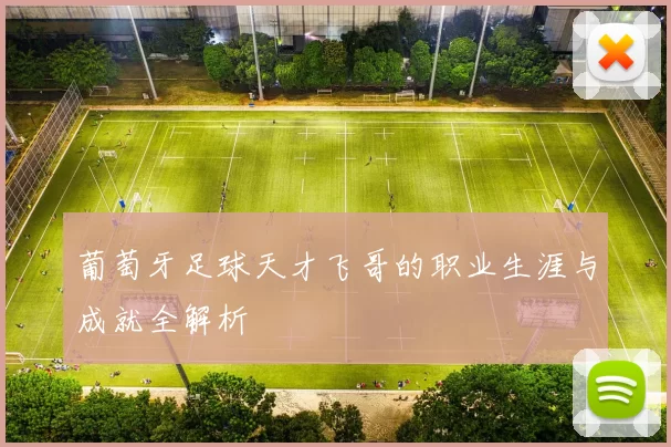 葡萄牙足球天才飞哥的职业生涯与成就全解析