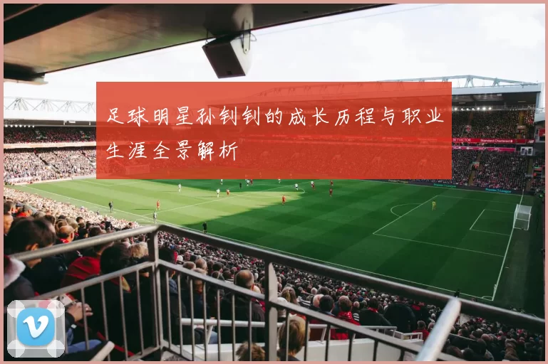足球明星孙钊钊的成长历程与职业生涯全景解析