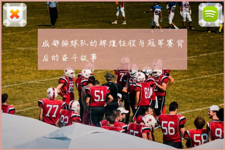 成都排球队的辉煌征程与冠军赛背后的奋斗故事