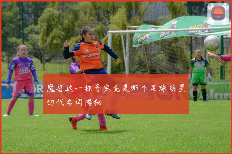 魔兽这一称号究竟是哪个足球明星的代名词揭秘
