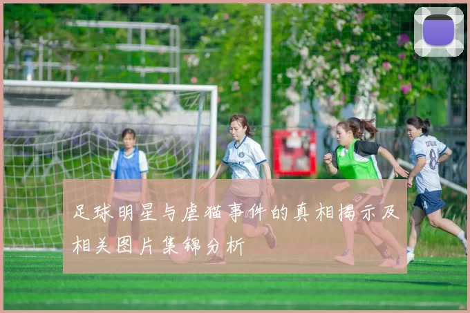 足球明星与虐猫事件的真相揭示及相关图片集锦分析