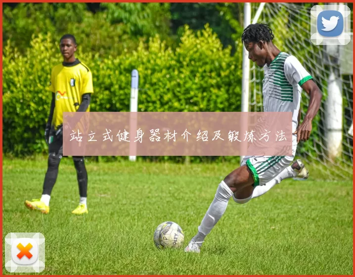 站立式健身器材介绍及锻炼方法