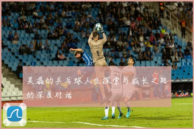 吴磊的乒乓球人生探索与成长之路的深度对话