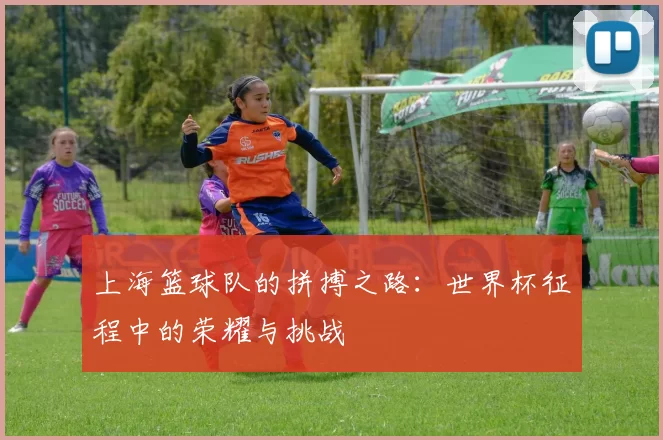 上海篮球队的拼搏之路：世界杯征程中的荣耀与挑战