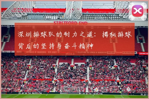 深圳排球队的耐力之道：揭秘排球背后的坚持与奋斗精神
