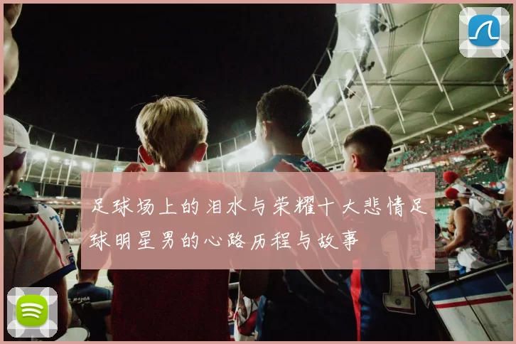 足球场上的泪水与荣耀十大悲情足球明星男的心路历程与故事