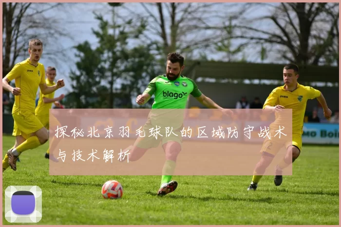 探秘北京羽毛球队的区域防守战术与技术解析