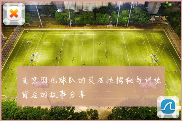 南京羽毛球队的灵活性揭秘与训练背后的故事分享