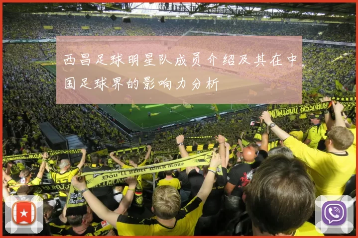 西昌足球明星队成员介绍及其在中国足球界的影响力分析