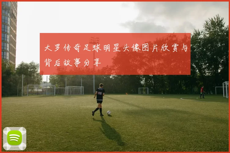大罗传奇足球明星头像图片欣赏与背后故事分享