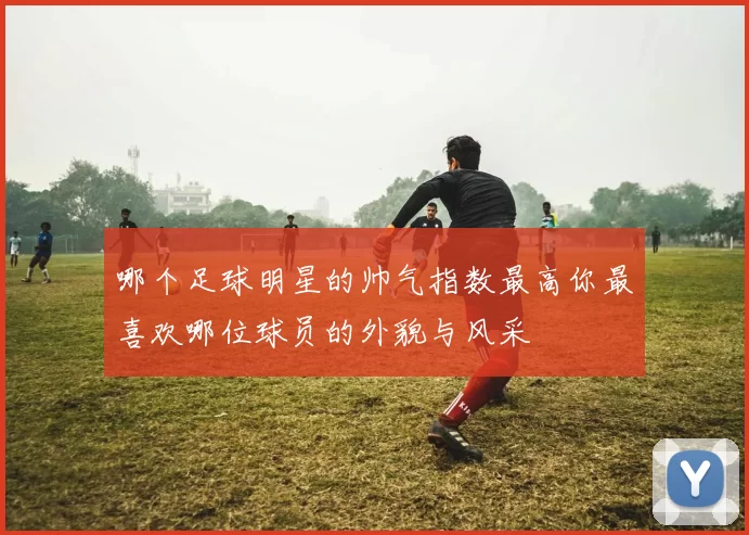 哪个足球明星的帅气指数最高你最喜欢哪位球员的外貌与风采
