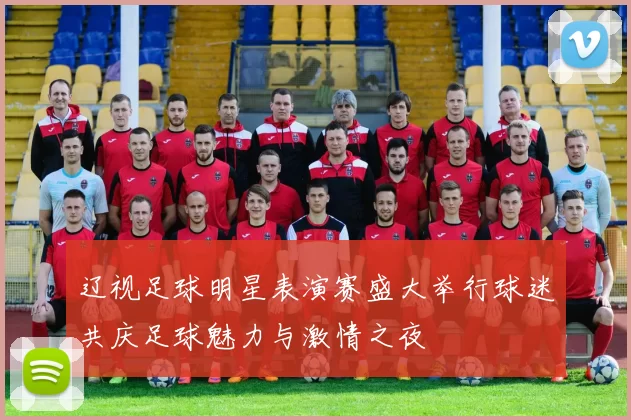 辽视足球明星表演赛盛大举行球迷共庆足球魅力与激情之夜