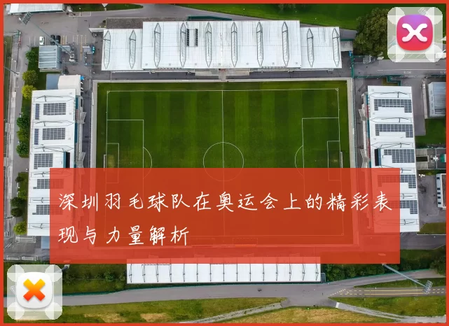 深圳羽毛球队在奥运会上的精彩表现与力量解析
