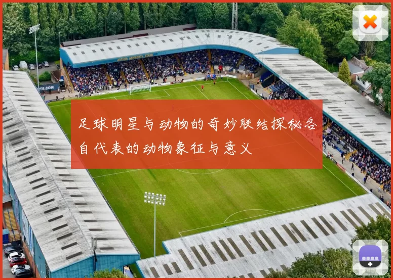 足球明星与动物的奇妙联结探秘各自代表的动物象征与意义