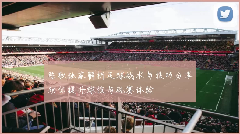 陈敏独家解析足球战术与技巧分享助你提升球技与观赛体验