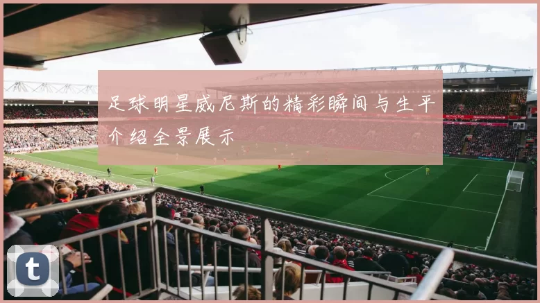 足球明星威尼斯的精彩瞬间与生平介绍全景展示