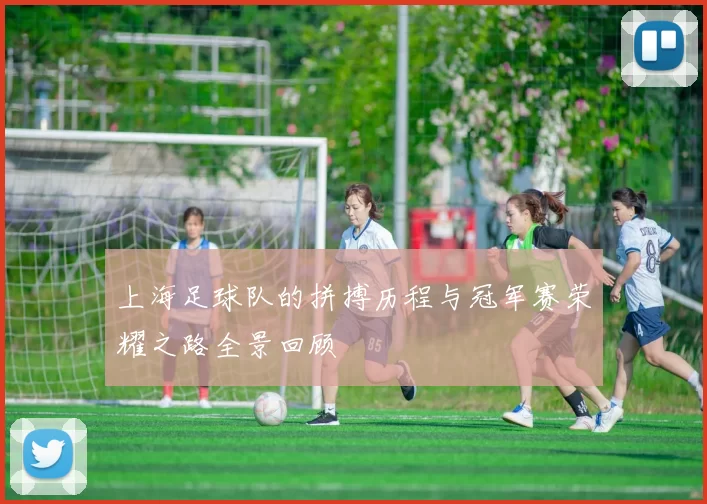 上海足球队的拼搏历程与冠军赛荣耀之路全景回顾