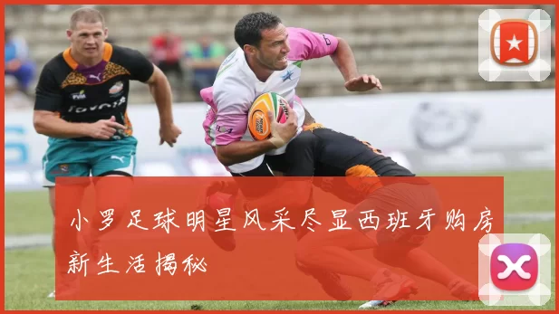 小罗足球明星风采尽显西班牙购房新生活揭秘