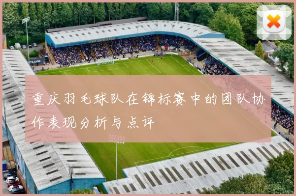 重庆羽毛球队在锦标赛中的团队协作表现分析与点评