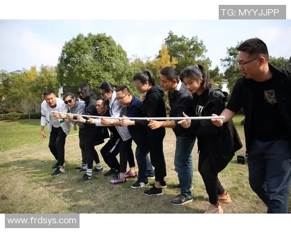 V5在挑战者杯中的团队协作表现分析与评价