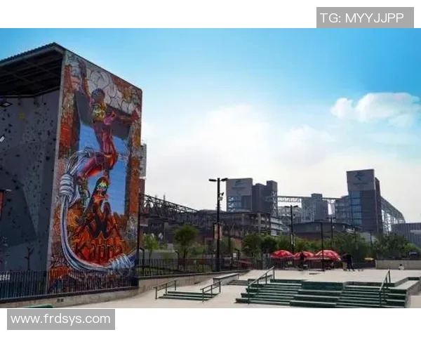 南京攀岩队创新区域防守策略助力竞技水平提升的深度分析